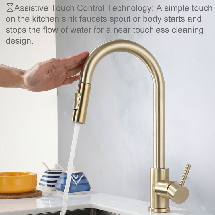 Keran Dapur Sentuhan Emas Disi - Kitchen Appliances Design ulasan dan harga